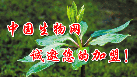 首页广告位3