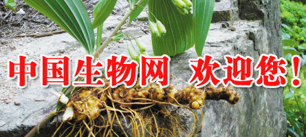 首页广告位5
