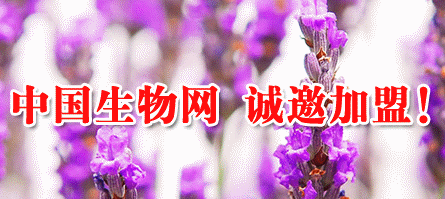 首页广告位6